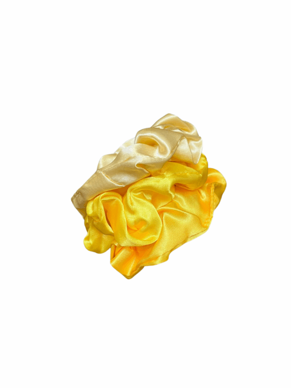 Scrunchie 19
