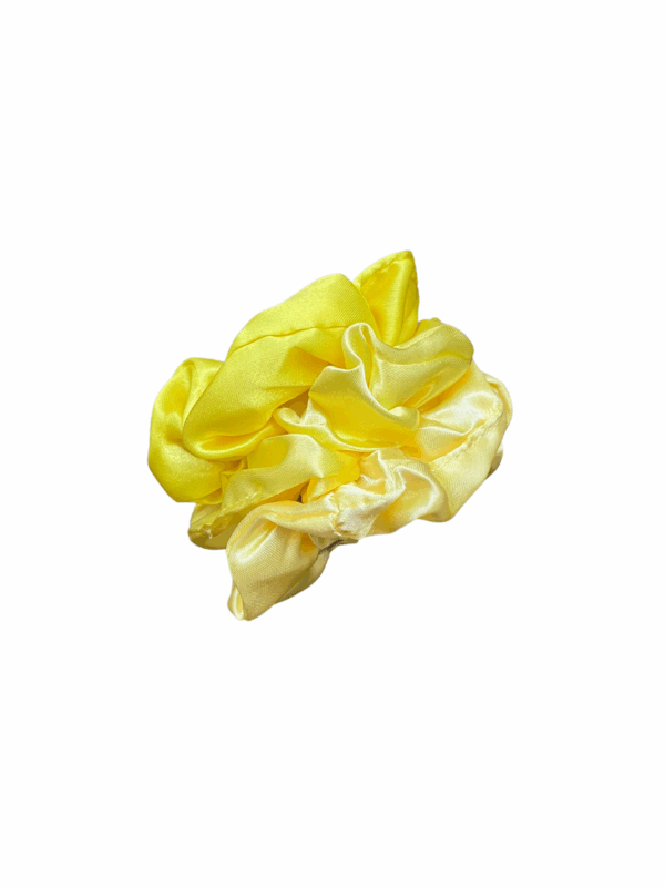 Scrunchie 36