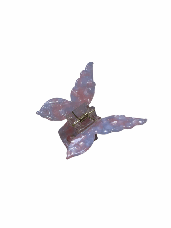 Piranha borboleta - Imagem 10