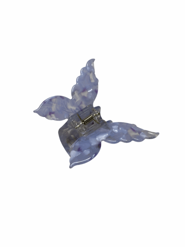 Piranha borboleta - Imagem 7