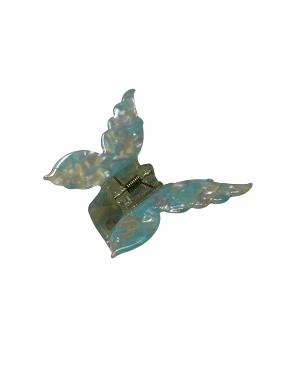 Piranha borboleta - Imagem 11