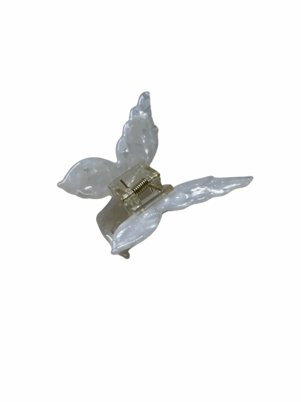 Piranha borboleta - Imagem 9