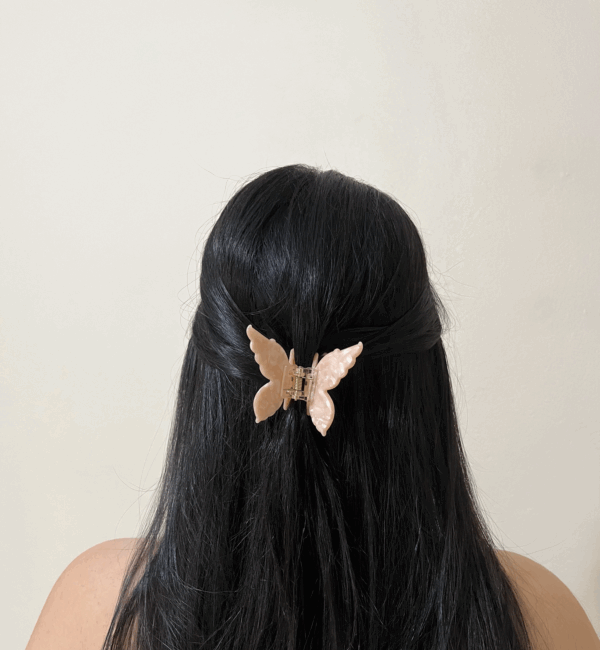 Piranha borboleta - Imagem 6